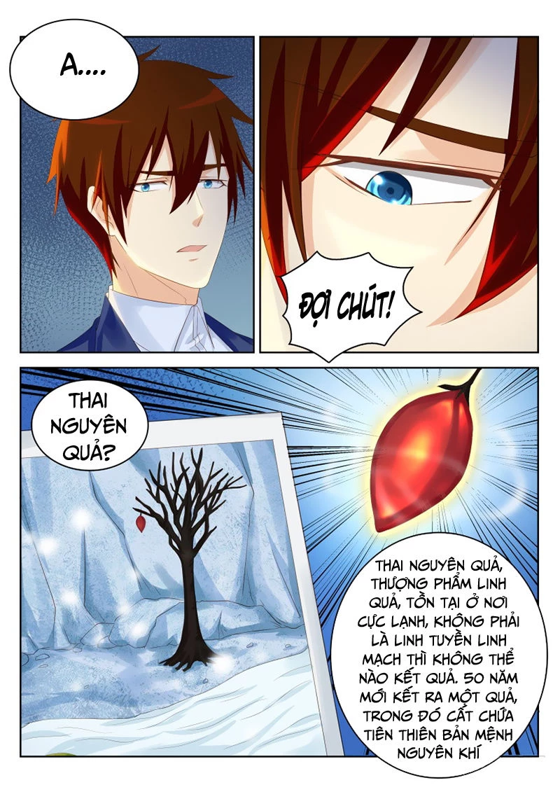 Trọng Sinh Đô Thị Tu Tiên Chapter 220 - Trang 4