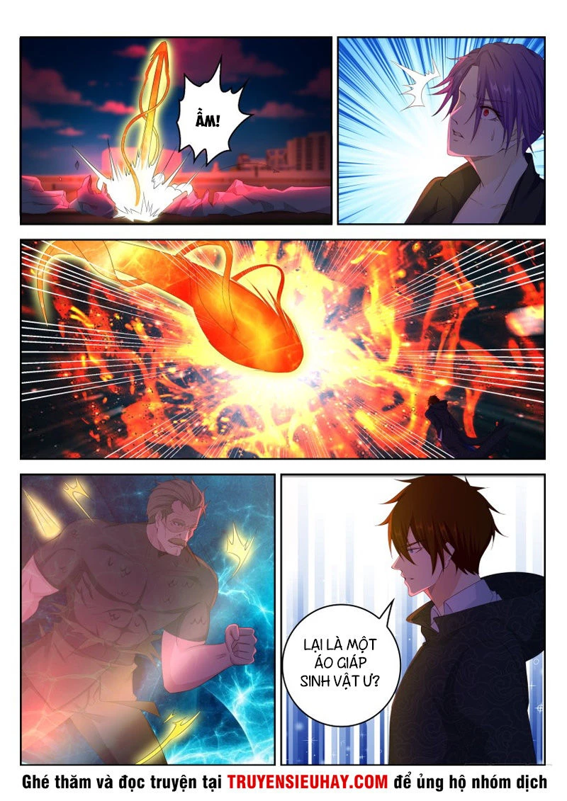 Trọng Sinh Đô Thị Tu Tiên Chapter 244 - Trang 4