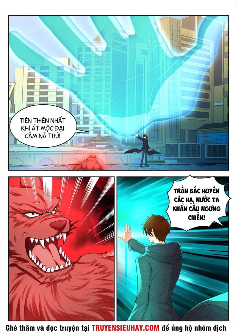 Trọng Sinh Đô Thị Tu Tiên Chapter 244 - Trang 4