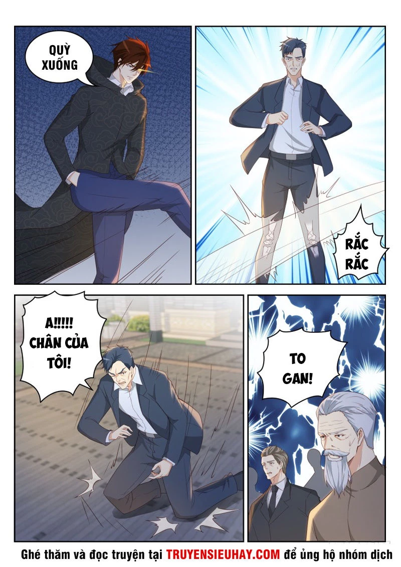 Trọng Sinh Đô Thị Tu Tiên Chapter 253 - Trang 4