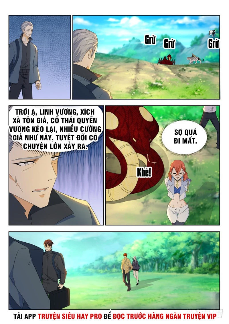 Trọng Sinh Đô Thị Tu Tiên Chapter 276 - Trang 4