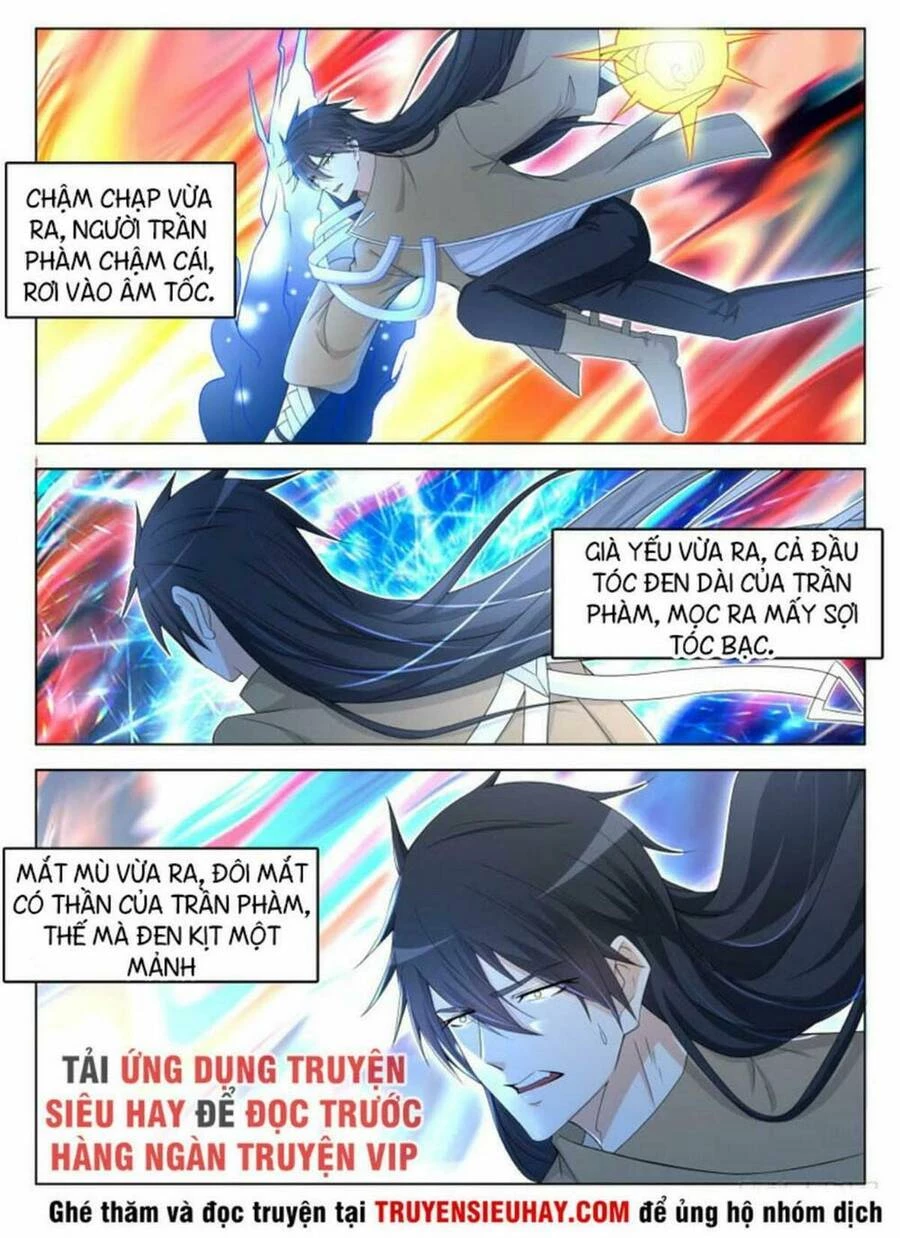Trọng Sinh Đô Thị Tu Tiên Chapter 308 - Trang 4