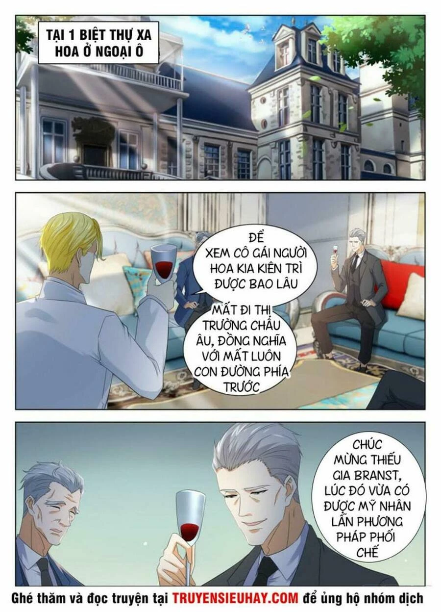 Trọng Sinh Đô Thị Tu Tiên Chapter 313 - Trang 4