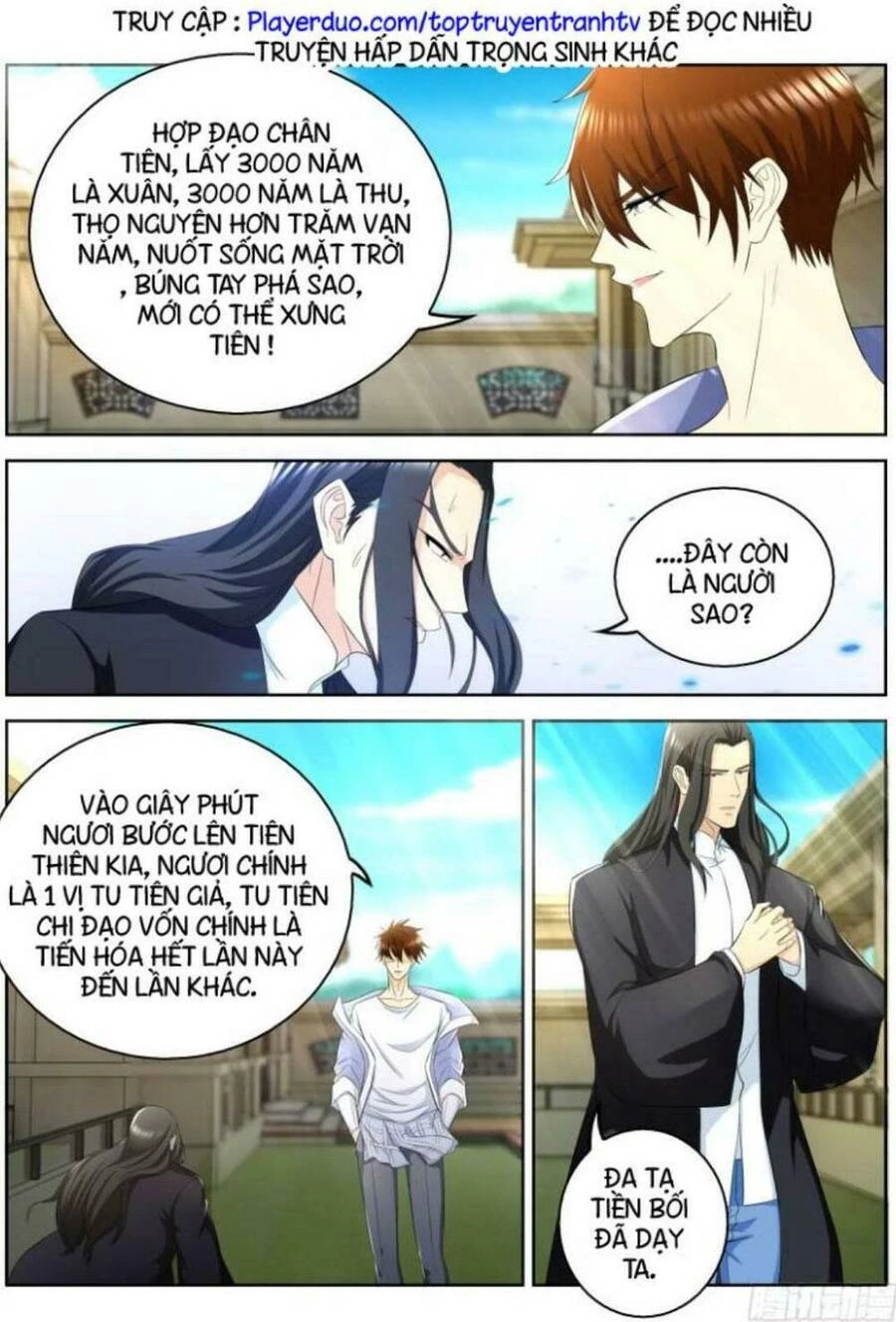 Trọng Sinh Đô Thị Tu Tiên Chapter 329 - Trang 4