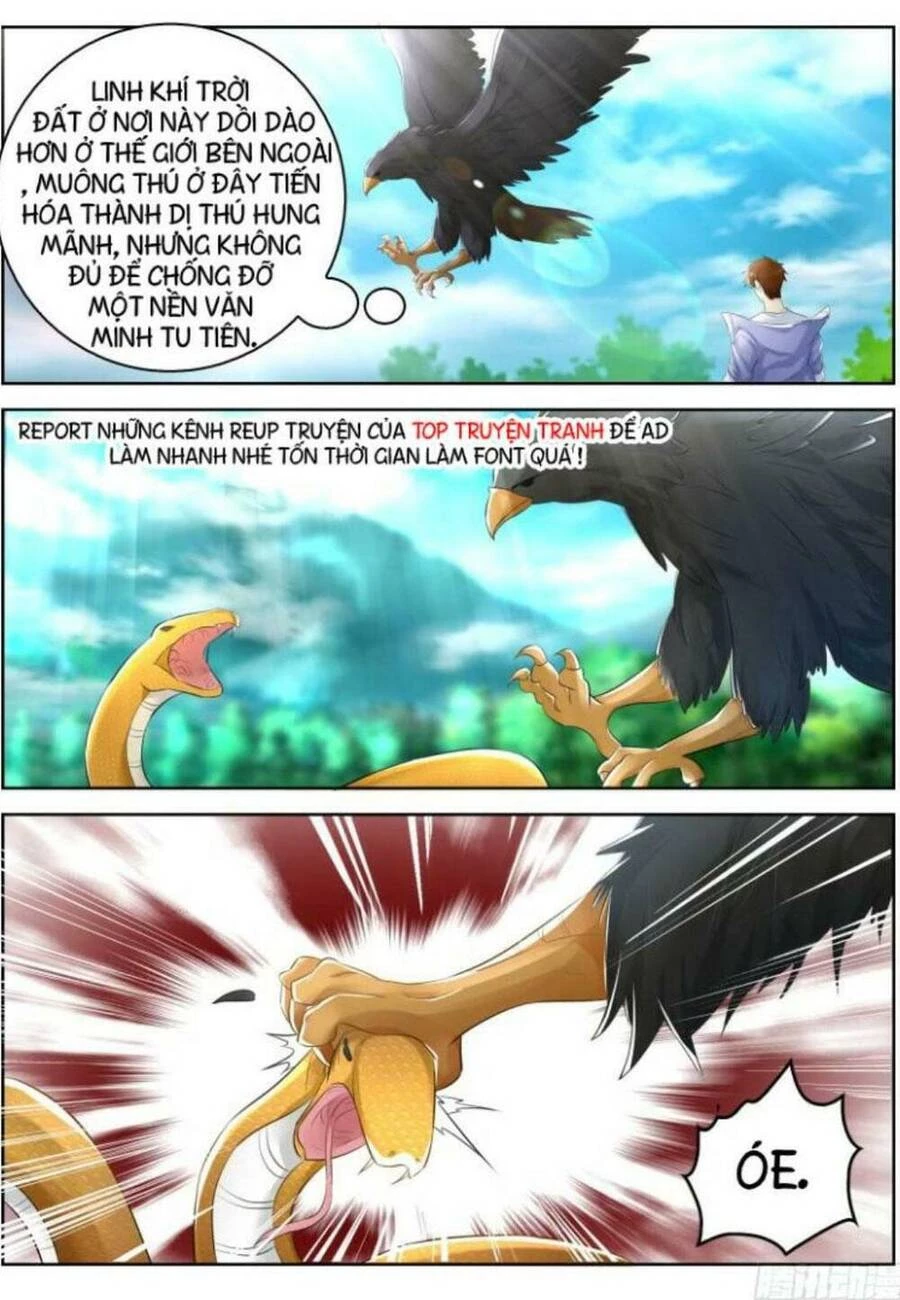 Trọng Sinh Đô Thị Tu Tiên Chapter 330 - Trang 4