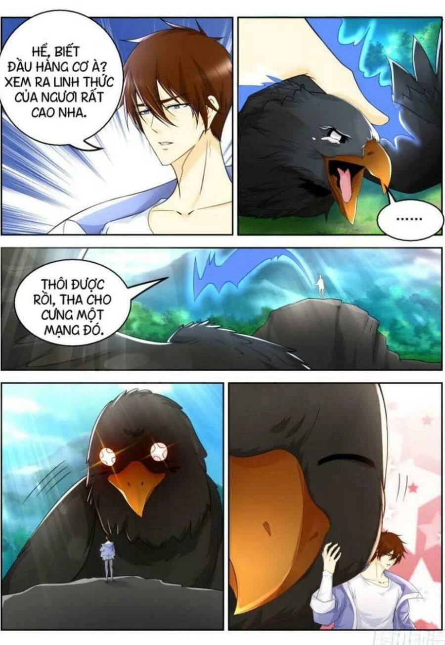 Trọng Sinh Đô Thị Tu Tiên Chapter 330 - Trang 4