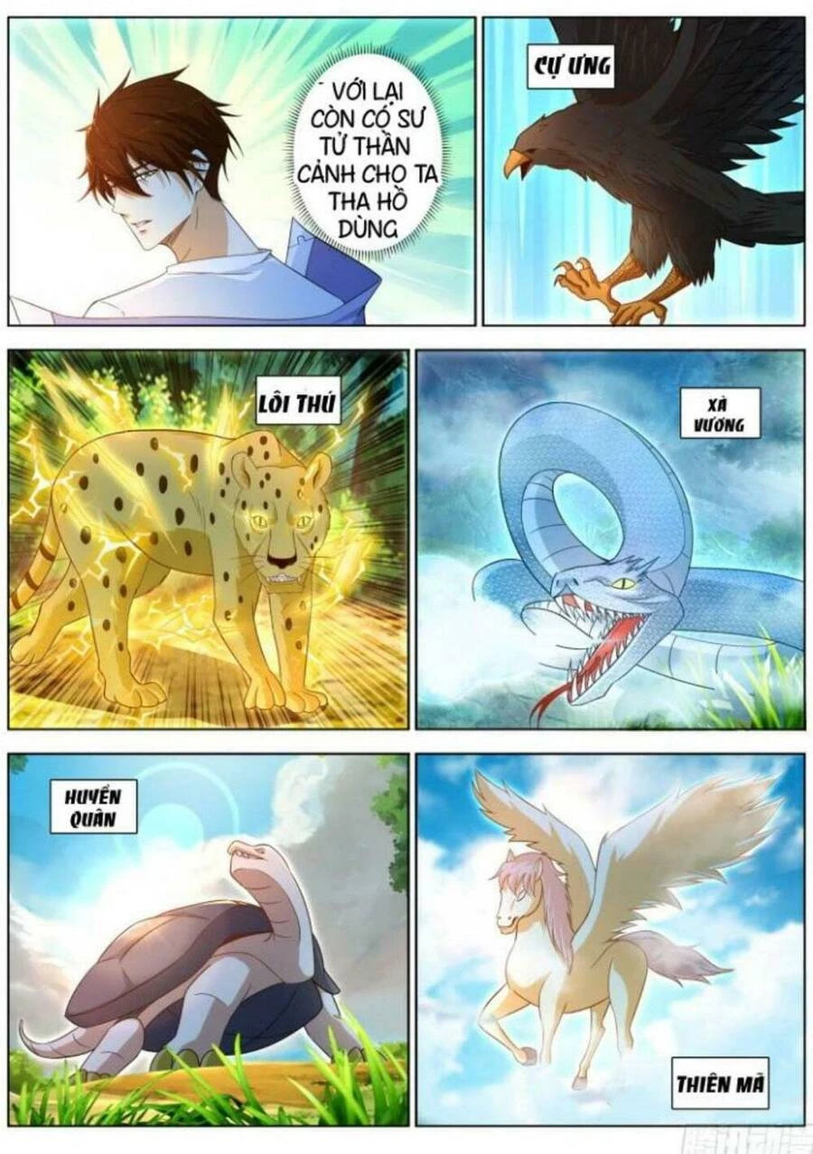 Trọng Sinh Đô Thị Tu Tiên Chapter 331 - Trang 4