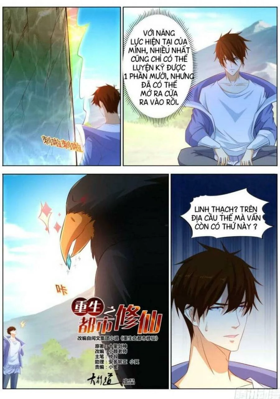 Trọng Sinh Đô Thị Tu Tiên Chapter 331 - Trang 4