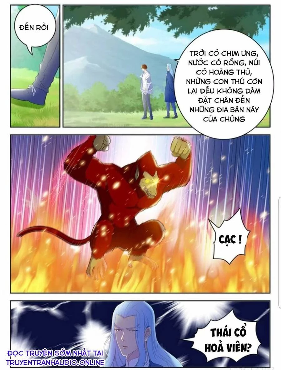 Trọng Sinh Đô Thị Tu Tiên Chapter 345 - Trang 4