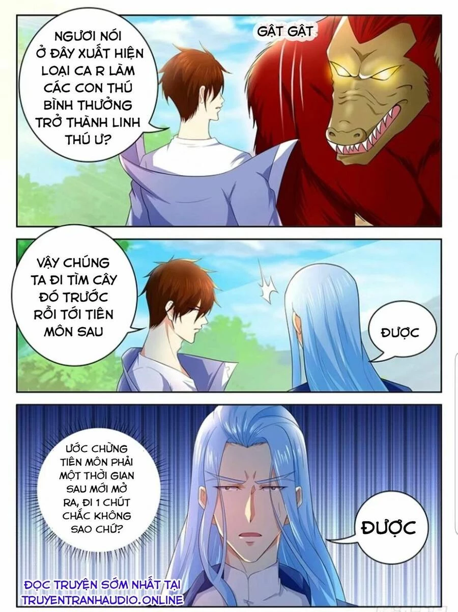Trọng Sinh Đô Thị Tu Tiên Chapter 345 - Trang 4