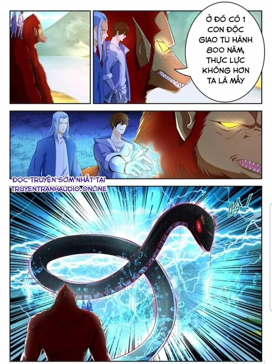 Trọng Sinh Đô Thị Tu Tiên Chapter 345 - Trang 4