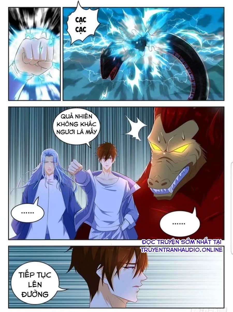 Trọng Sinh Đô Thị Tu Tiên Chapter 345 - Trang 4