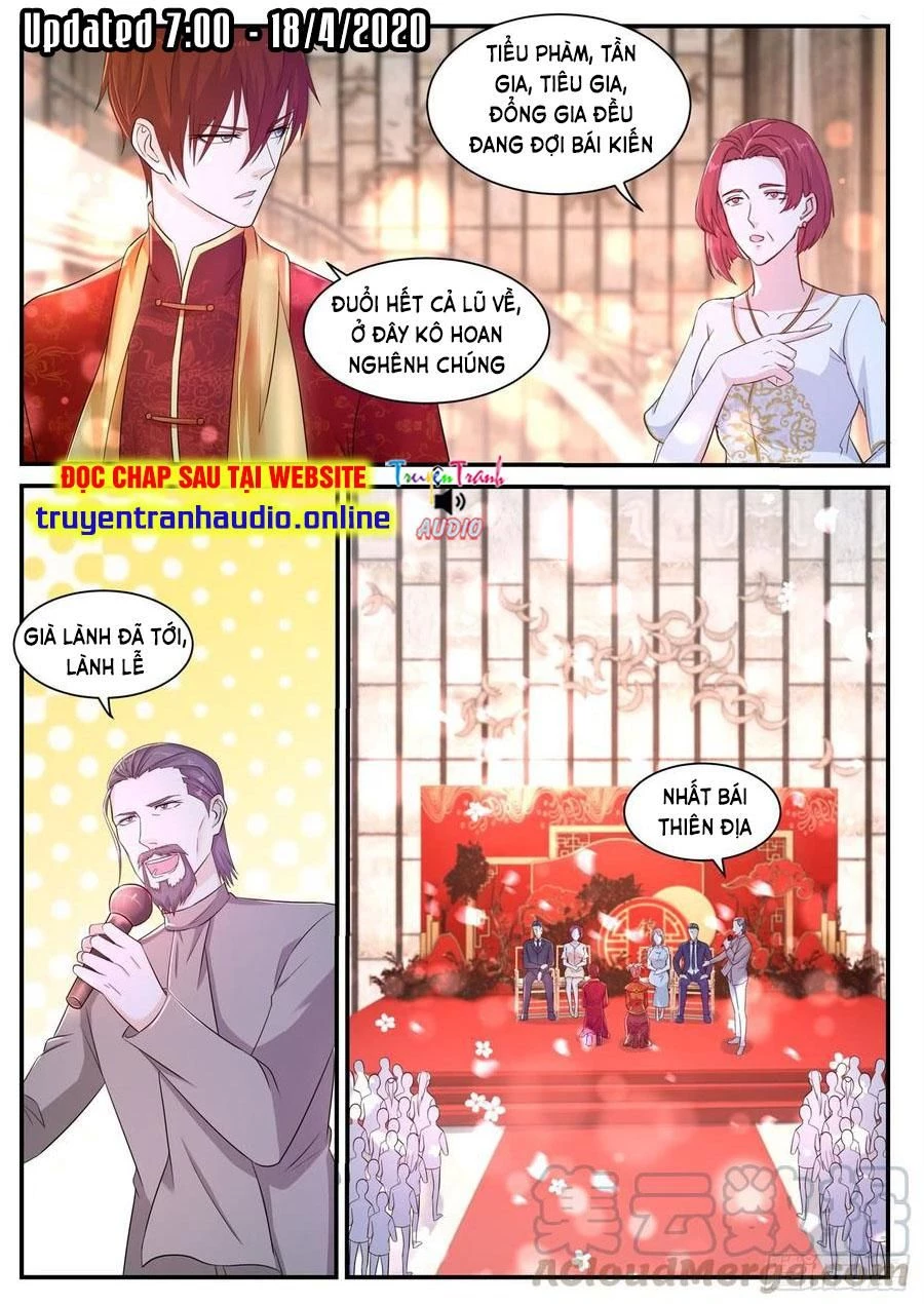 Trọng Sinh Đô Thị Tu Tiên Chapter 371 - Trang 4