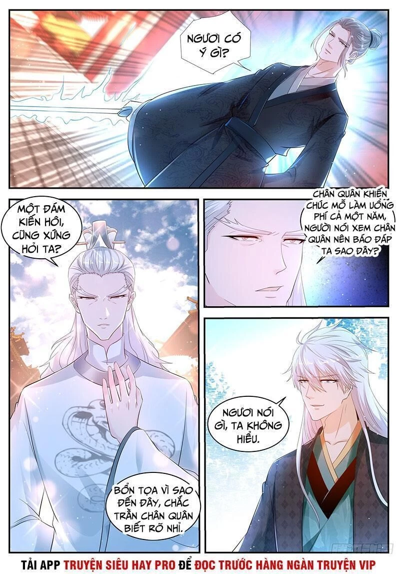 Trọng Sinh Đô Thị Tu Tiên Chapter 435 - Trang 4