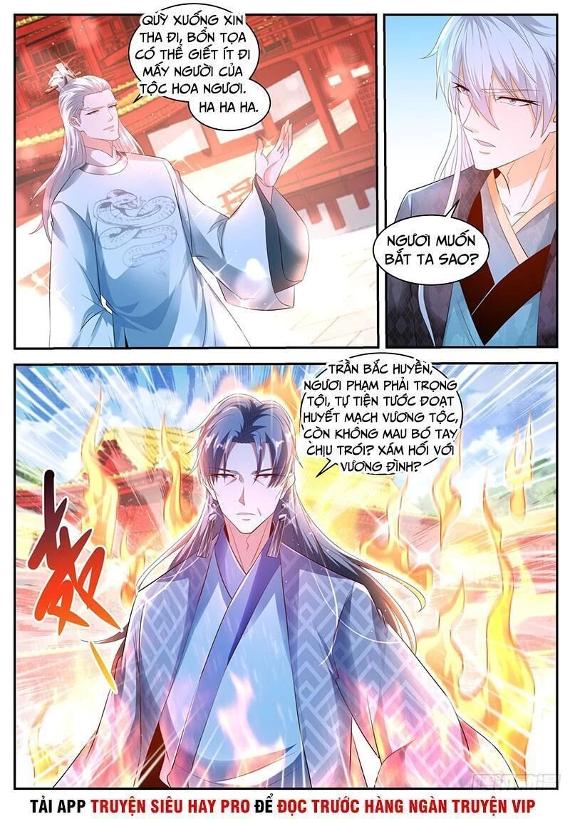 Trọng Sinh Đô Thị Tu Tiên Chapter 435 - Trang 4