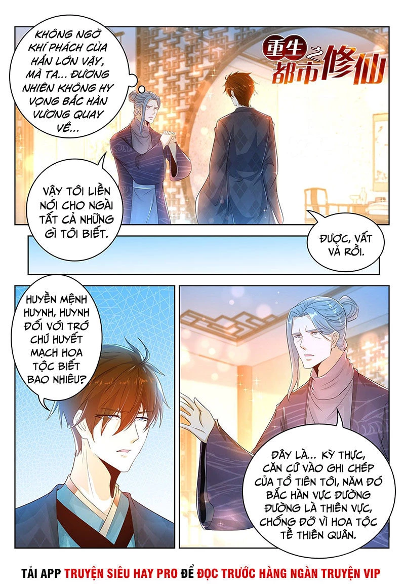 Trọng Sinh Đô Thị Tu Tiên Chapter 444 - Trang 4