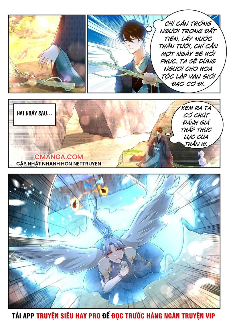 Trọng Sinh Đô Thị Tu Tiên Chapter 448 - Trang 4