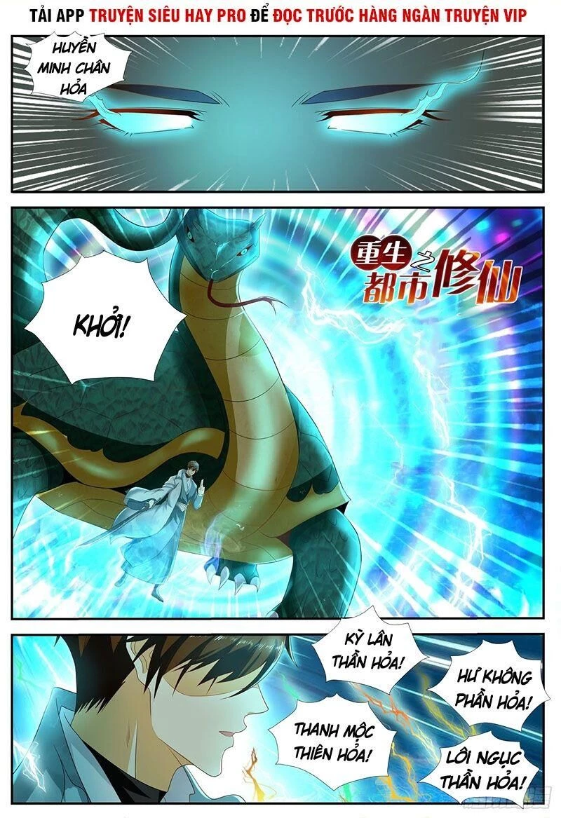 Trọng Sinh Đô Thị Tu Tiên Chapter 520 - Trang 4
