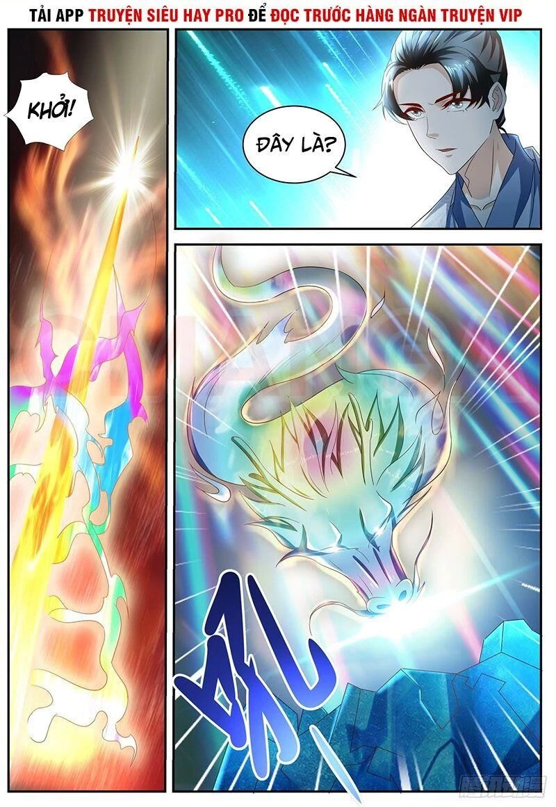 Trọng Sinh Đô Thị Tu Tiên Chapter 520 - Trang 4