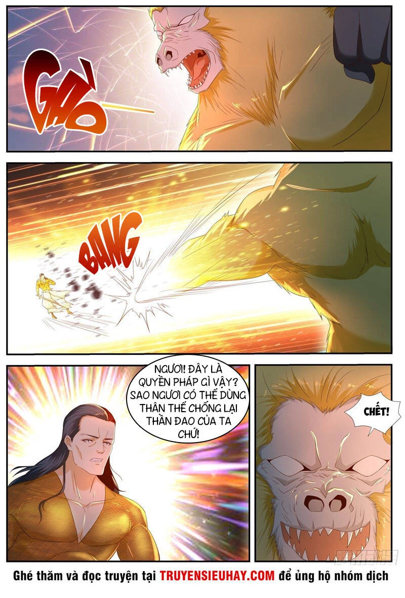 Trọng Sinh Đô Thị Tu Tiên Chapter 546 - Trang 4