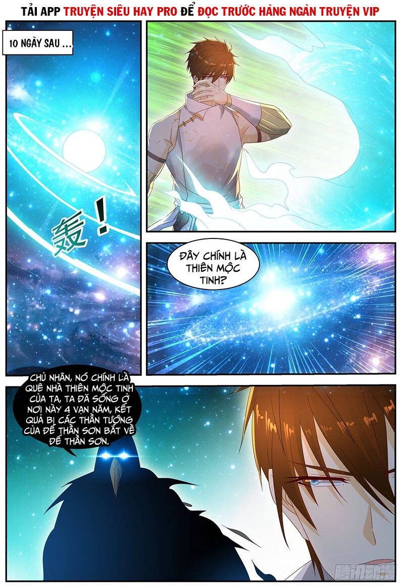 Trọng Sinh Đô Thị Tu Tiên Chapter 557 - Trang 4