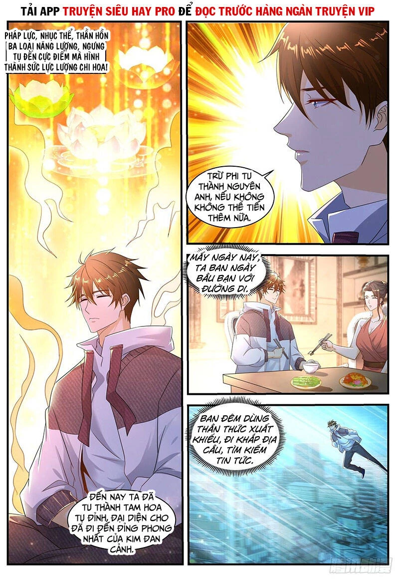 Trọng Sinh Đô Thị Tu Tiên Chapter 566 - Trang 4