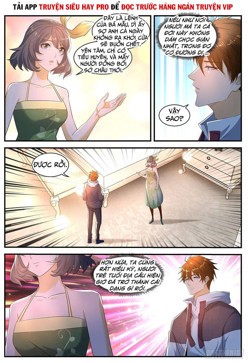 Trọng Sinh Đô Thị Tu Tiên Chapter 566 - Trang 4