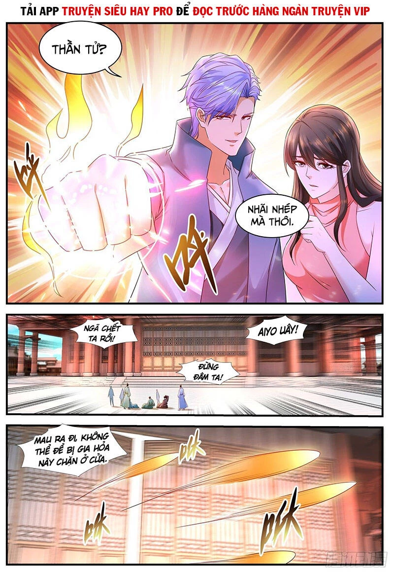 Trọng Sinh Đô Thị Tu Tiên Chapter 592 - Trang 4