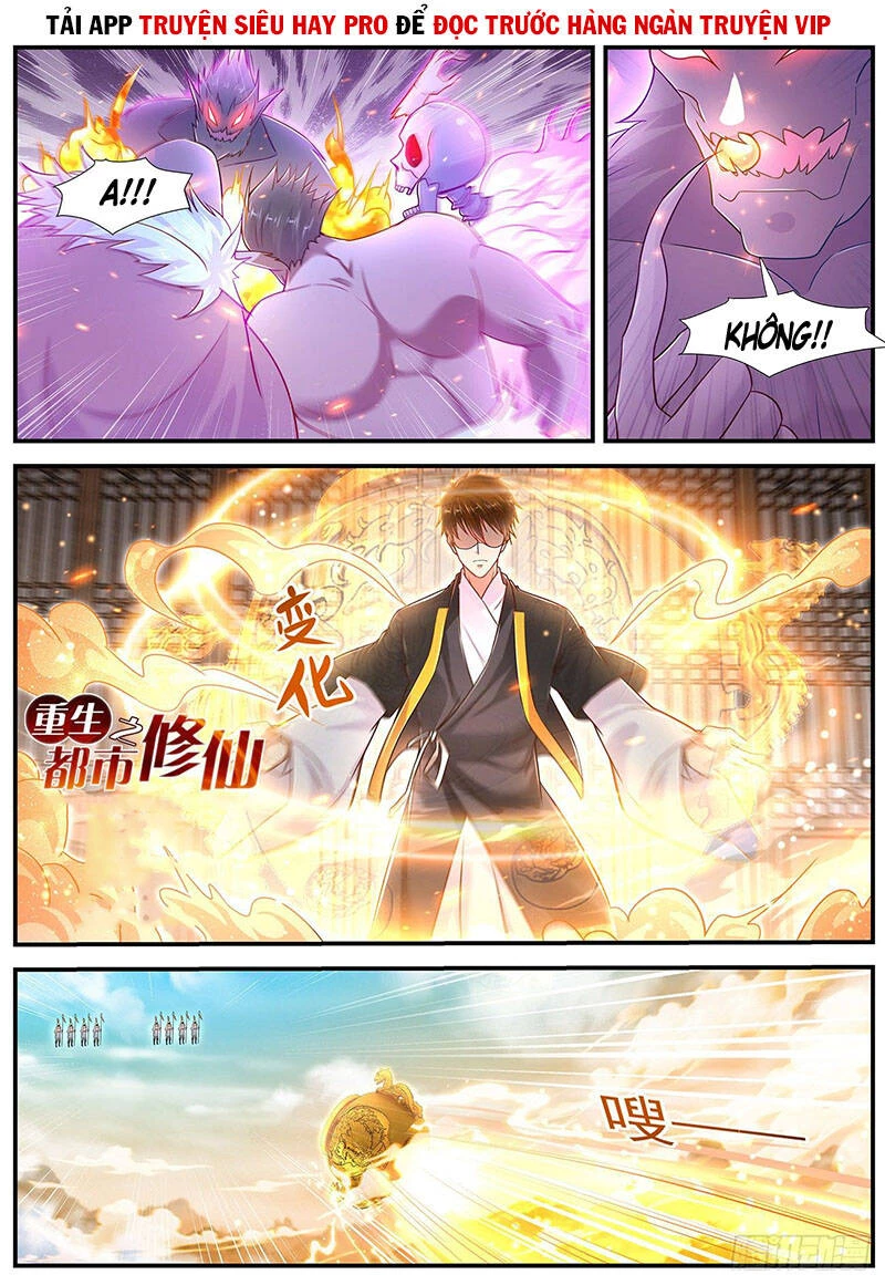 Trọng Sinh Đô Thị Tu Tiên Chapter 606 - Trang 4