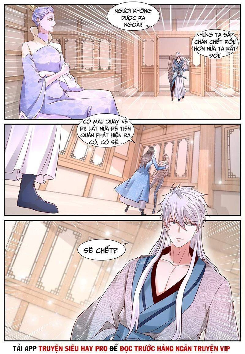 Trọng Sinh Đô Thị Tu Tiên Chapter 683 - Trang 4