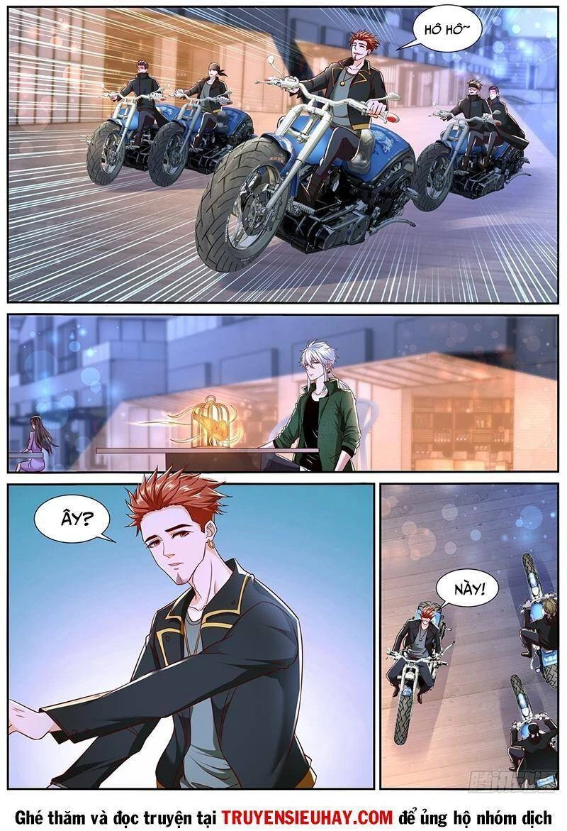 Trọng Sinh Đô Thị Tu Tiên Chapter 781 - Trang 4