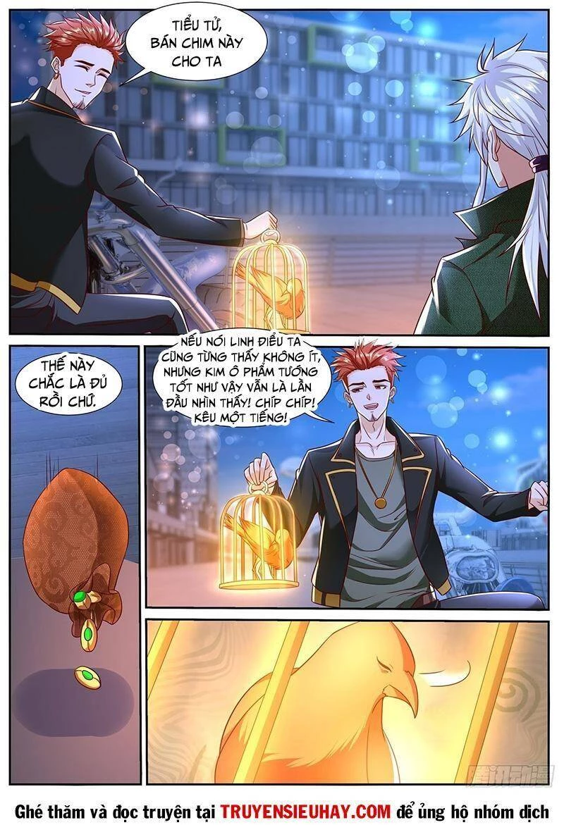 Trọng Sinh Đô Thị Tu Tiên Chapter 781 - Trang 4