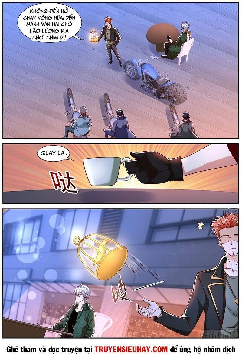 Trọng Sinh Đô Thị Tu Tiên Chapter 781 - Trang 4