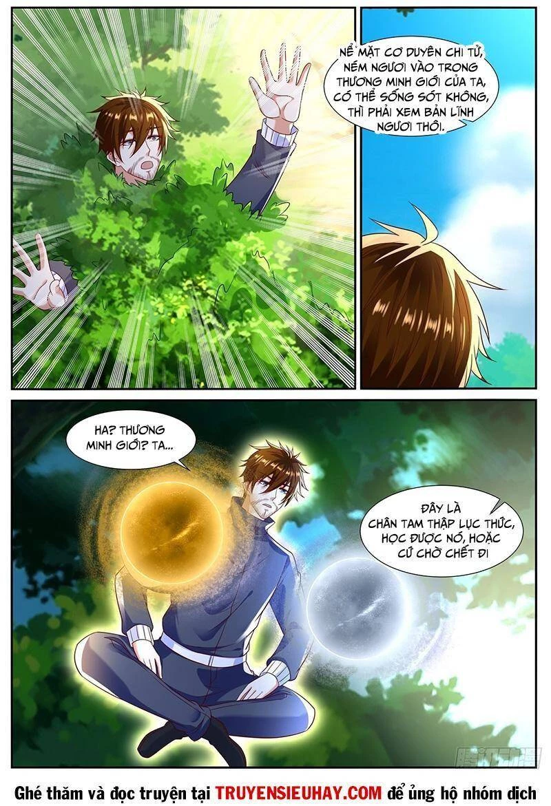 Trọng Sinh Đô Thị Tu Tiên Chapter 793 - Trang 4