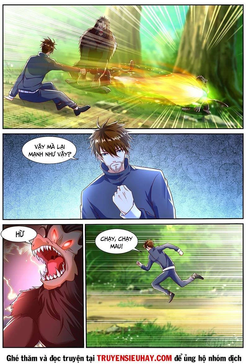 Trọng Sinh Đô Thị Tu Tiên Chapter 794 - Trang 4