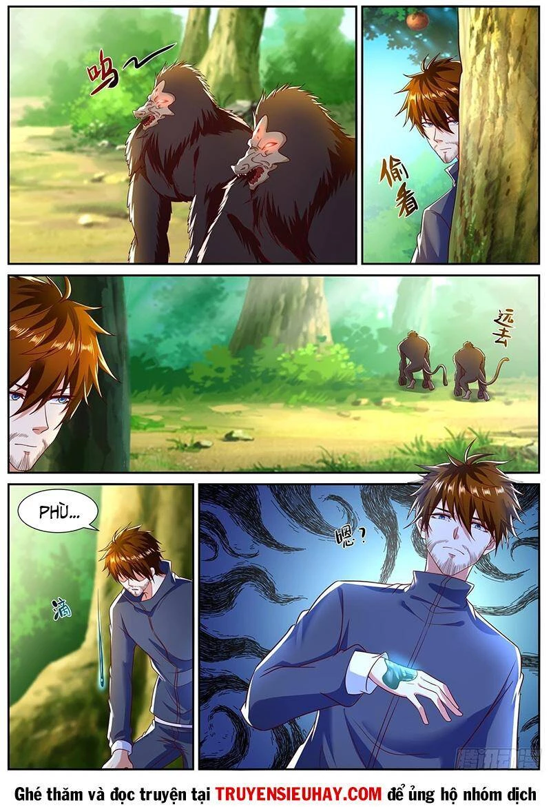 Trọng Sinh Đô Thị Tu Tiên Chapter 794 - Trang 4