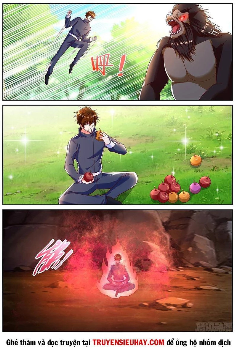 Trọng Sinh Đô Thị Tu Tiên Chapter 795 - Trang 4