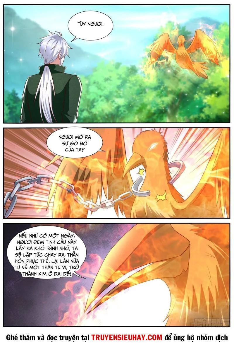 Trọng Sinh Đô Thị Tu Tiên Chapter 813 - Trang 4