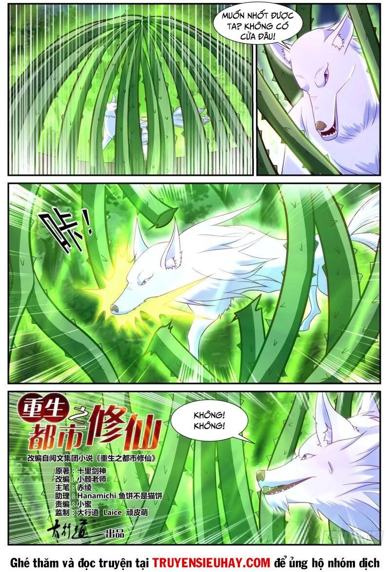 Trọng Sinh Đô Thị Tu Tiên Chapter 860 - Trang 4