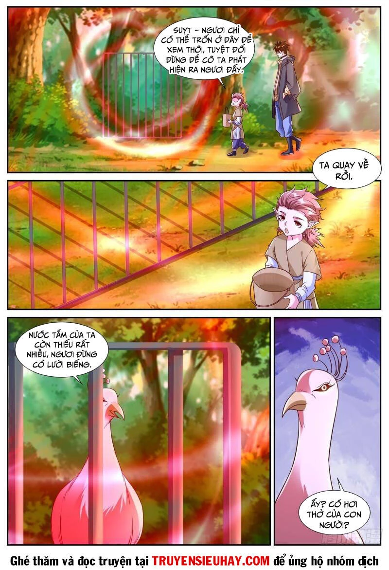 Trọng Sinh Đô Thị Tu Tiên Chapter 870 - Trang 4