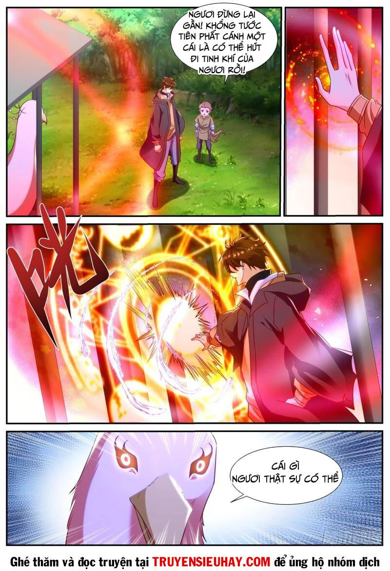 Trọng Sinh Đô Thị Tu Tiên Chapter 871 - Trang 4