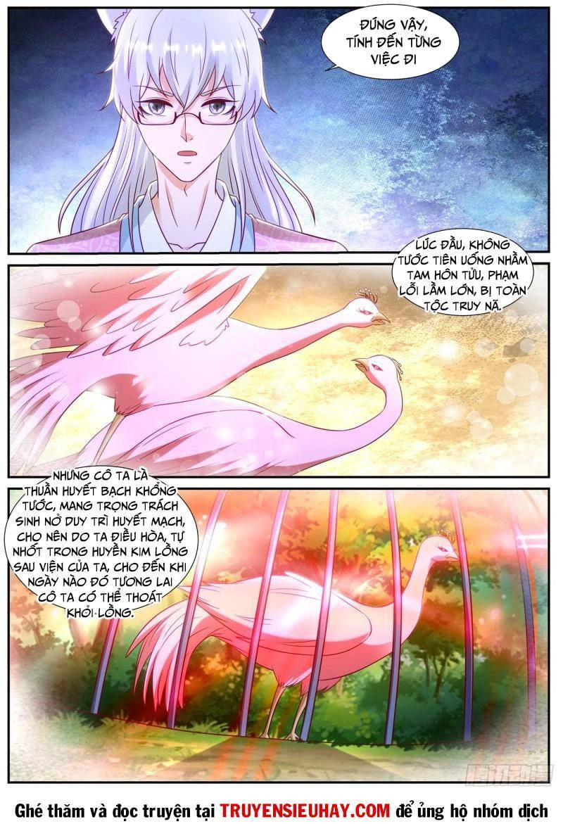 Trọng Sinh Đô Thị Tu Tiên Chapter 873 - Trang 4