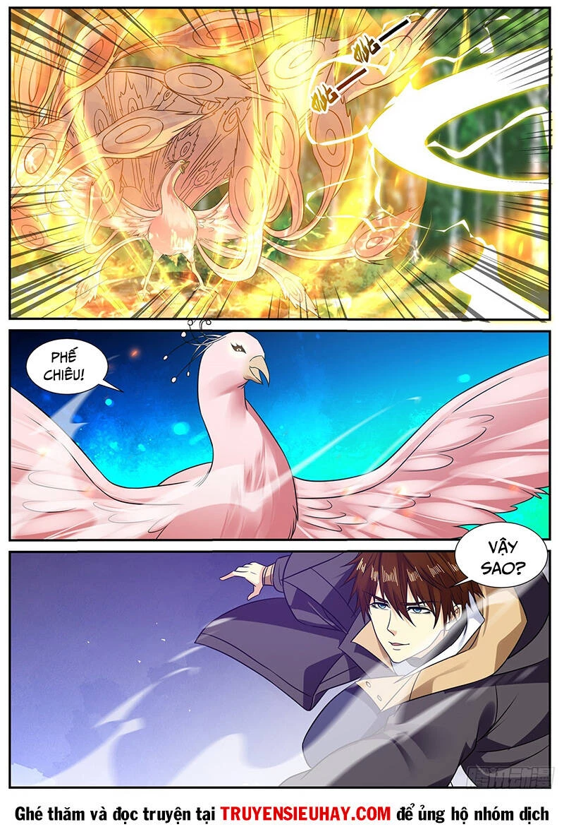 Trọng Sinh Đô Thị Tu Tiên Chapter 881 - Trang 4