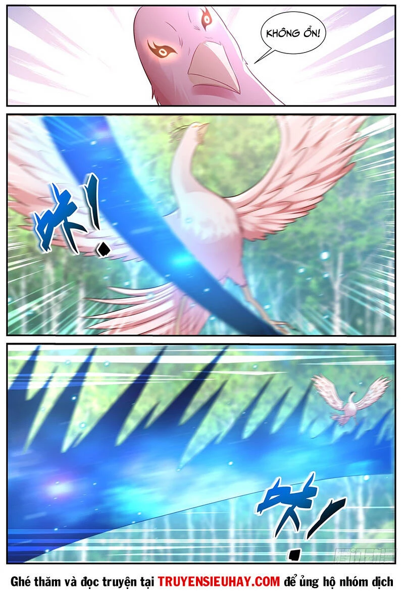 Trọng Sinh Đô Thị Tu Tiên Chapter 881 - Trang 4