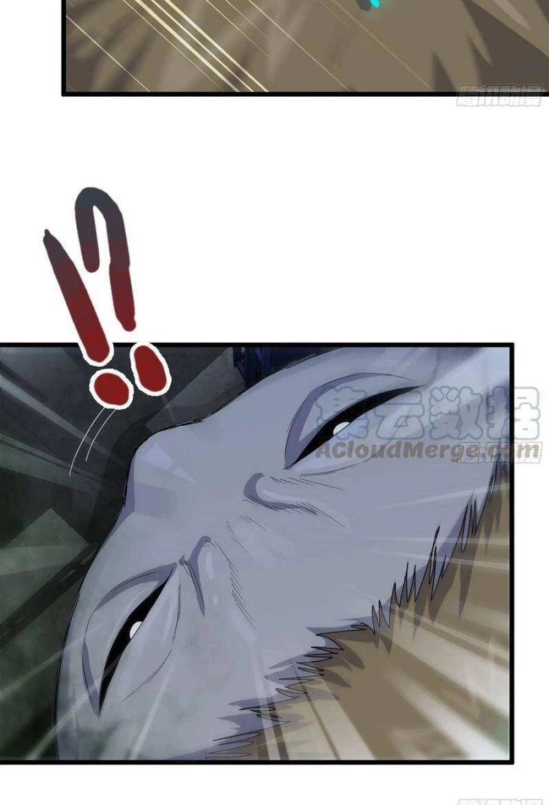 Tôi Chuyển Vàng Tại Mạt Thế Chapter 143 - Trang 4