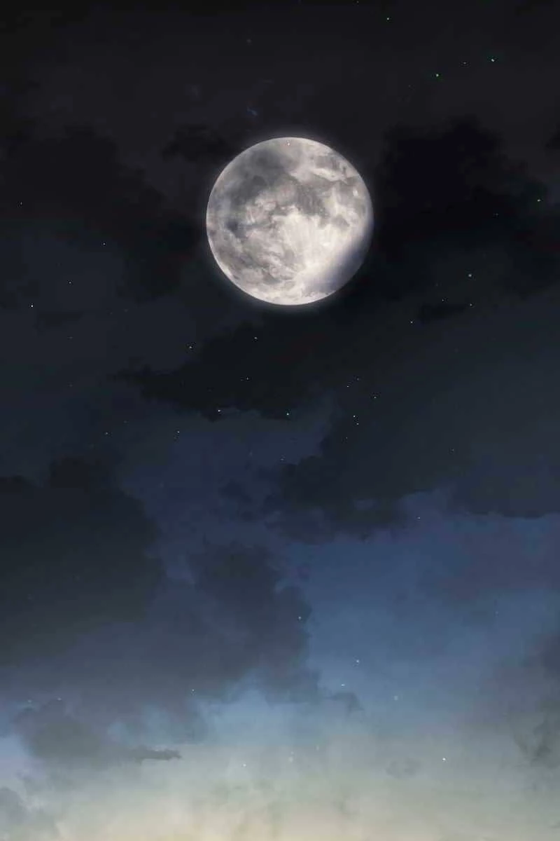 Thần Chiến Tranh Trở Lại Cấp 2 Chapter 14 - Trang 2