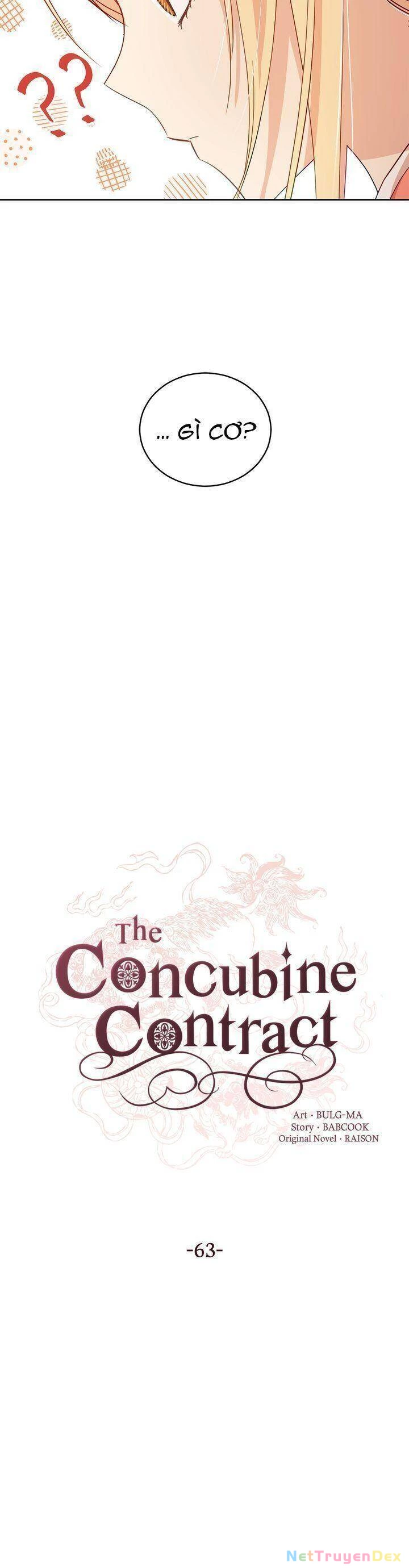 Ái Phi, Dao Của Nàng Rơi Rồi Chapter 63 - Trang 4