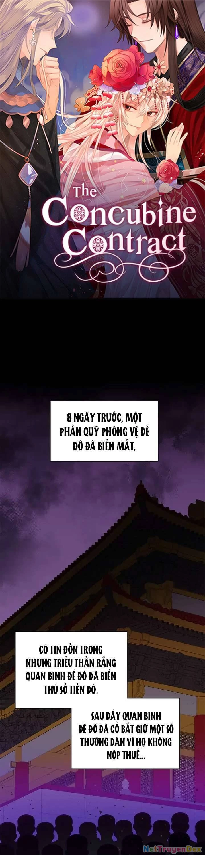 Ái Phi, Dao Của Nàng Rơi Rồi Chapter 80 - Trang 4