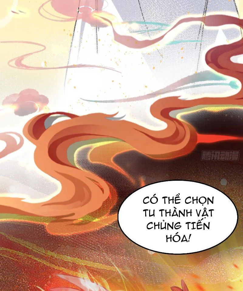 Hoá Ra Ta Đã Vô Địch Từ Lâu Chapter 1 - Trang 4