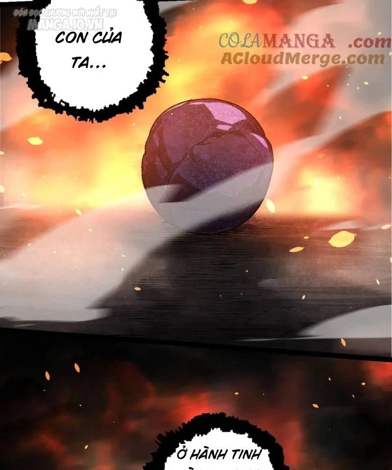 Chuyển Sinh Thành Liễu Đột Biến Chapter 226 - Trang 4